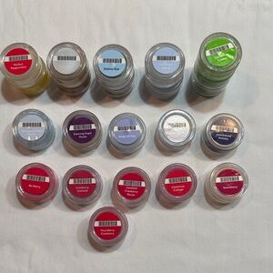 Scentsy Holiday Wax Melts